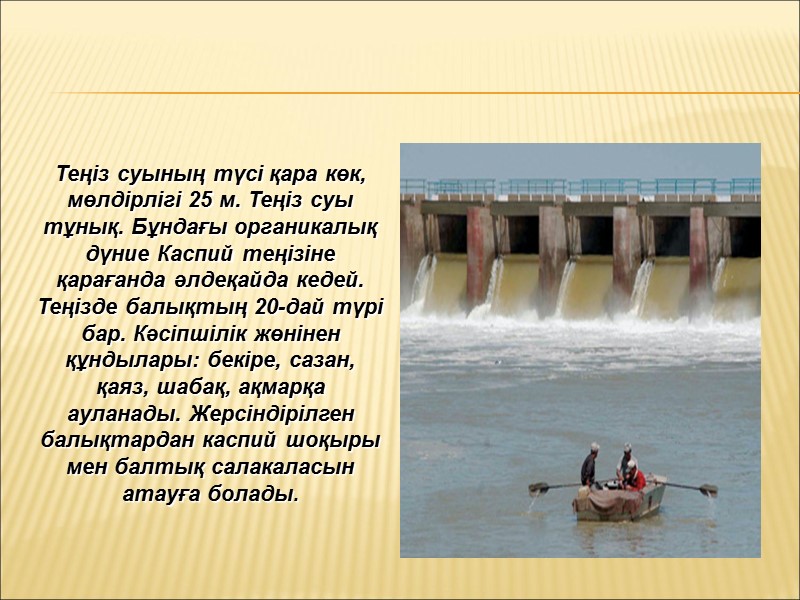 Теңіз суының түсі қара көк, мөлдірлігі 25 м. Теңіз суы тұнық. Бұндағы органикалық дүние